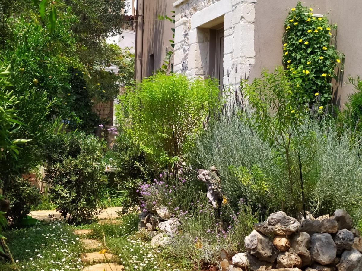 Olive Lemon Biophilic House & Lush Forest Garden Vamos Exterior photo