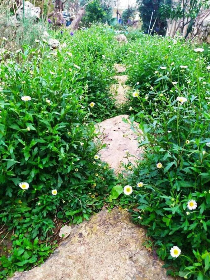 Olive Lemon Biophilic House & Lush Forest Garden Vamos Exterior photo