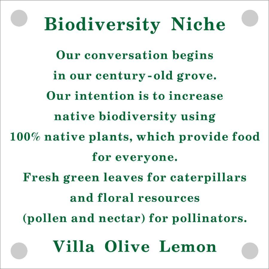 Olive Lemon Biophilic House & Lush Forest Garden Vamos Exterior photo