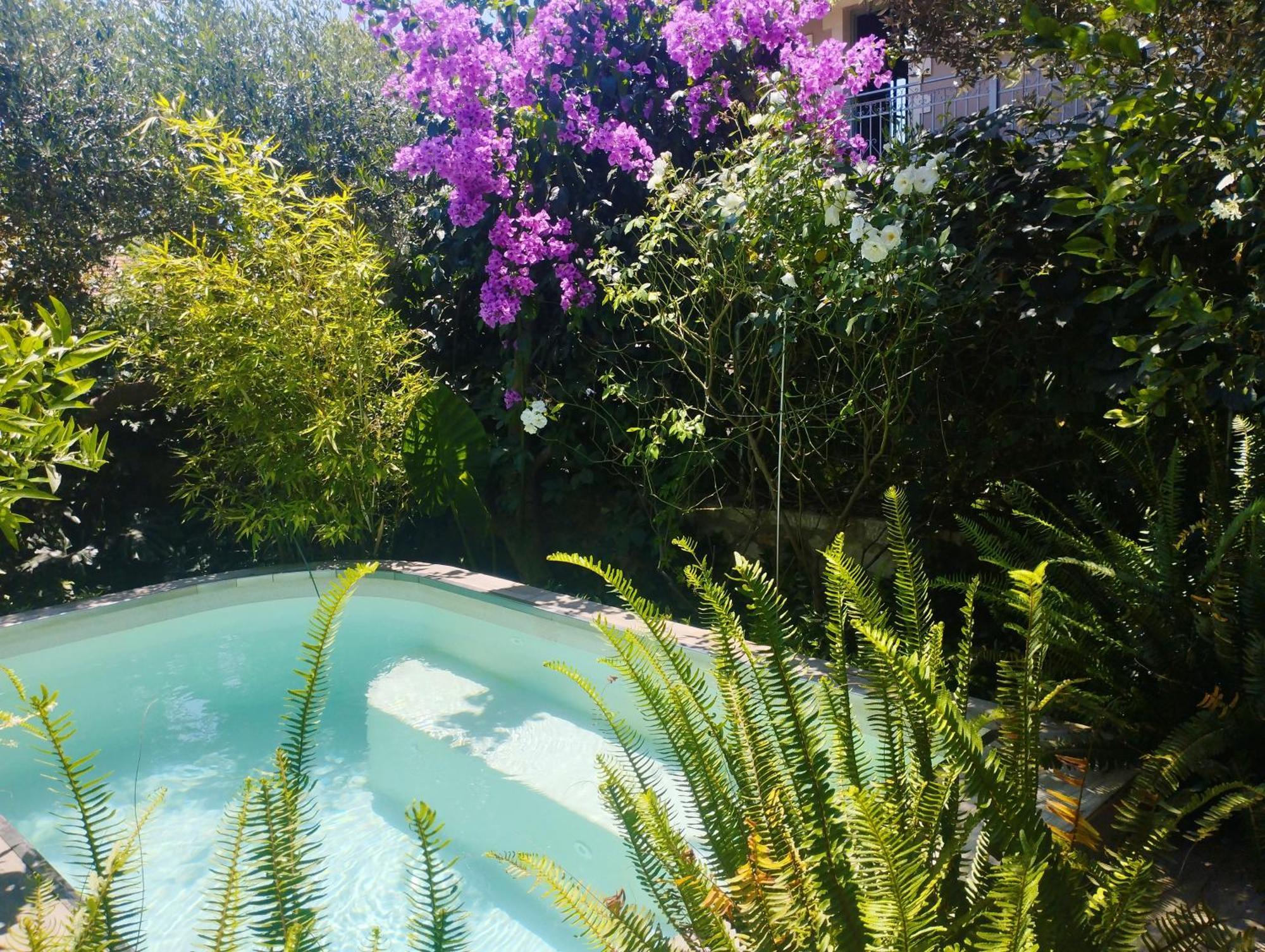 Olive Lemon Biophilic House & Lush Forest Garden Vamos Exterior photo
