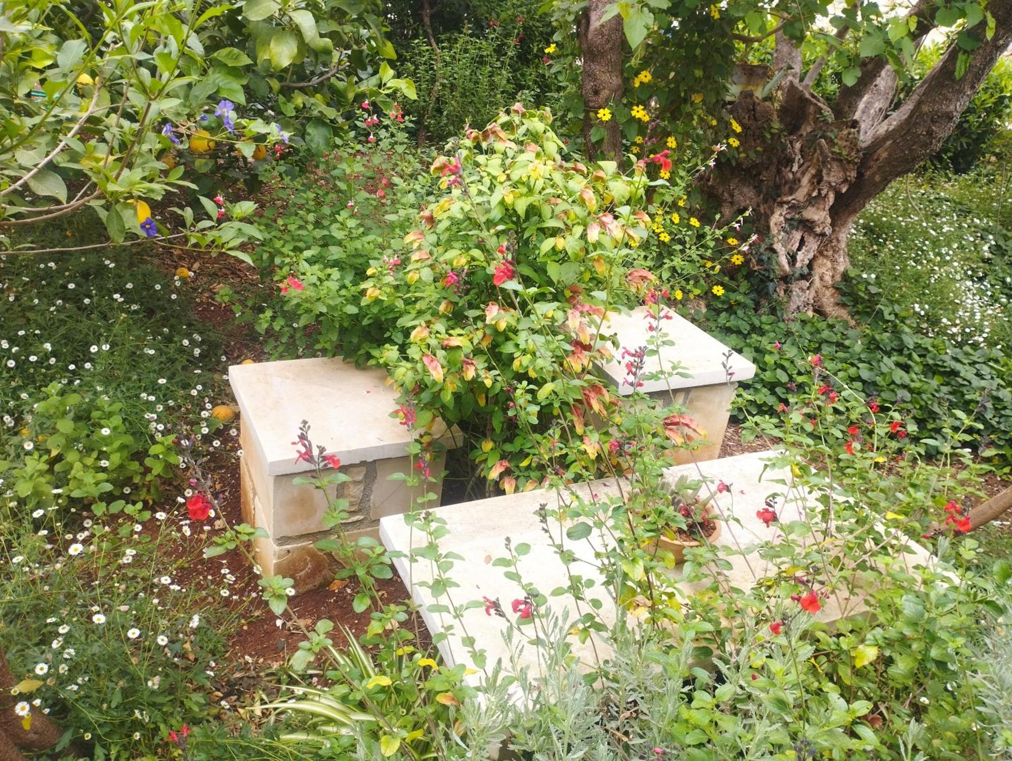 Olive Lemon Biophilic House & Lush Forest Garden Vamos Exterior photo