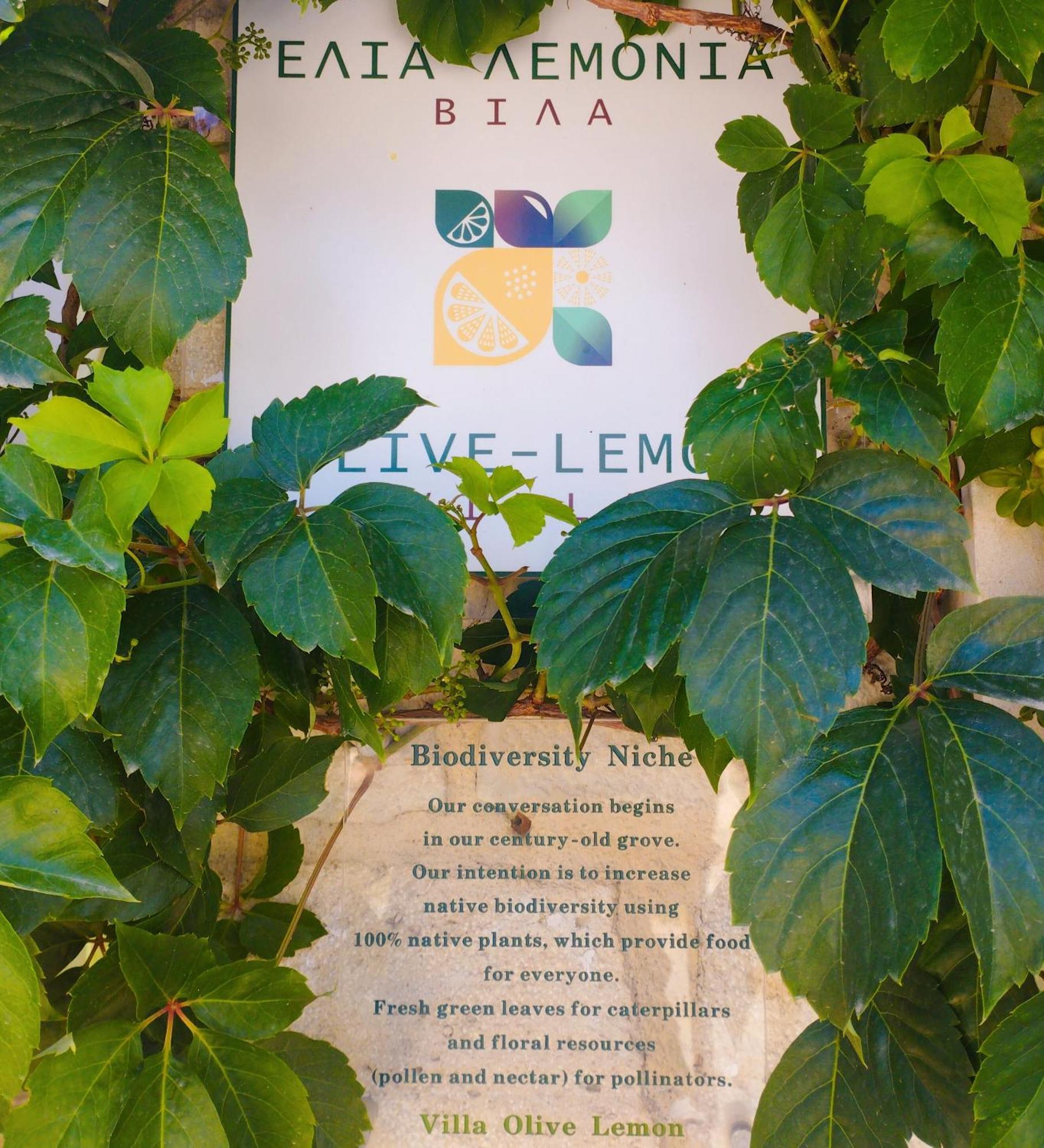 Olive Lemon Biophilic House & Lush Forest Garden Vamos Room photo